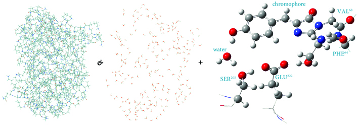 An Image showing ONIOM Layers for Modeling GFP.