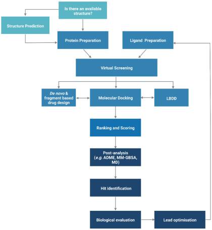 Structure-Based Drug Design