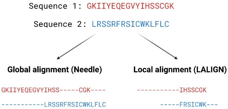 Protein Structure Prediction