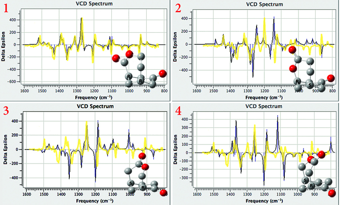 Four Charts showing distinguishing Chiral Products with VCD.