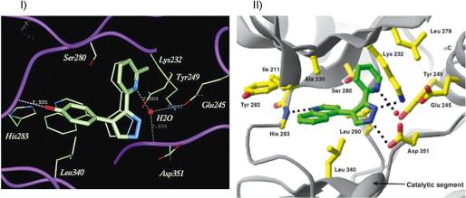 molecular descriptors