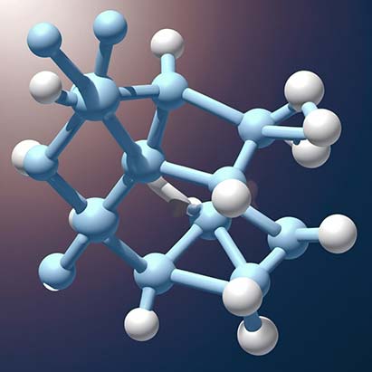 The study of protein-ligand interactions