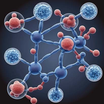 cellular signaling pathways, protein complex assembly, and designing drugs that target specific protein-protein interactions